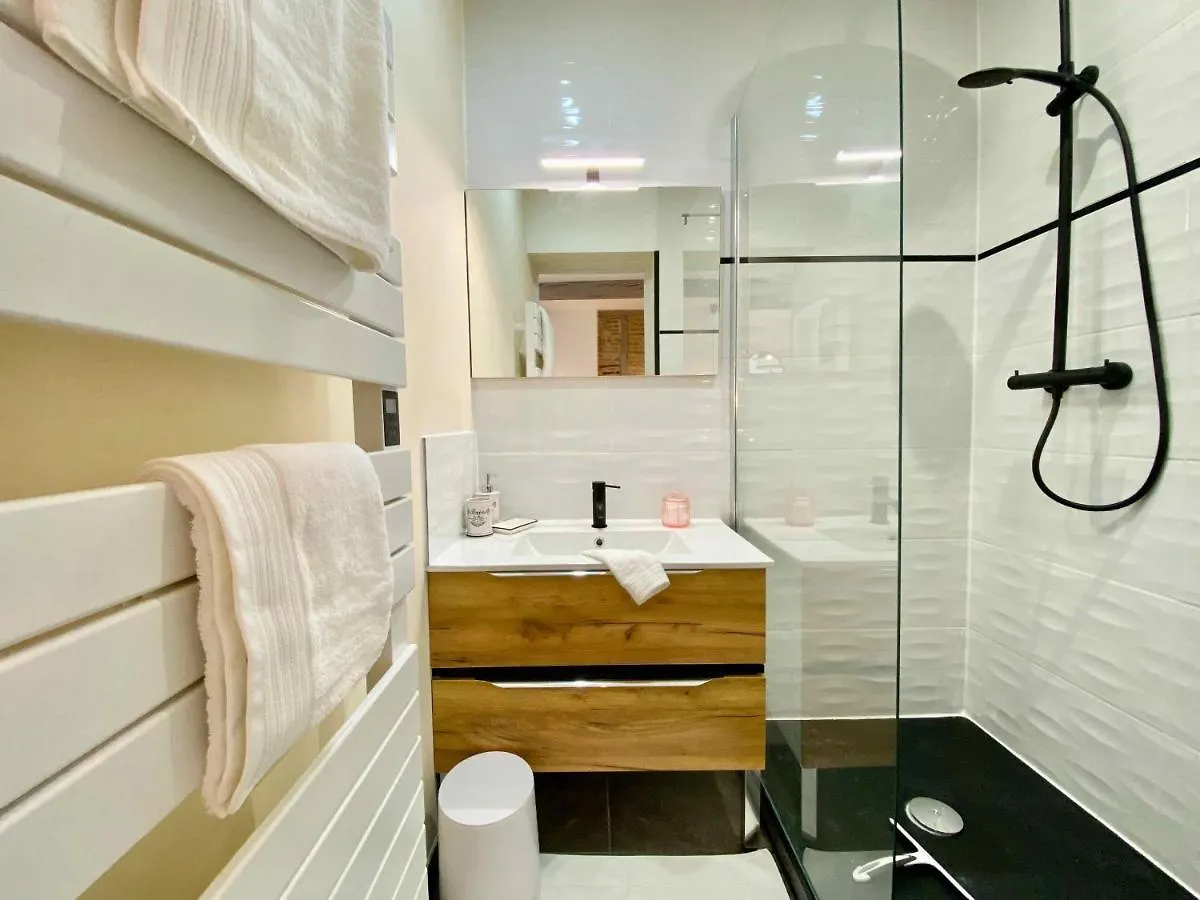 Apartamento La Parenthese Occitane Castres   Castres (Tarn)