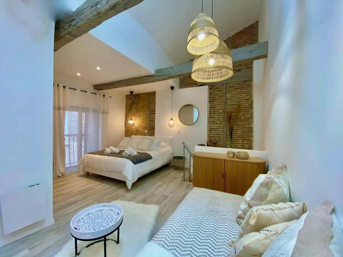 Apartamento La Parenthese Occitane Castres  0*, Castres (Tarn)