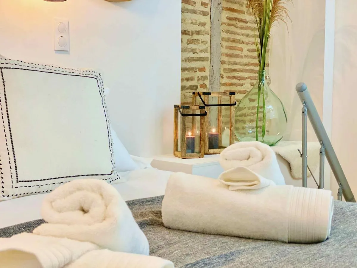 Apartamento La Parenthese Occitane Castres  Francia